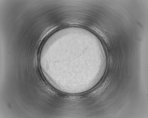 X0000115290782200911301333