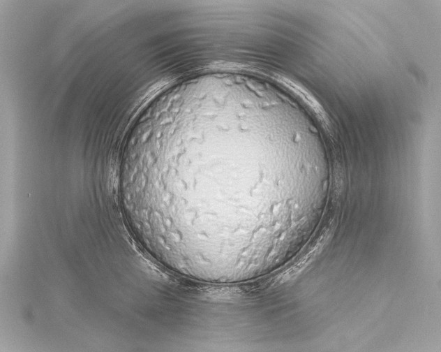 X0000115290809200911301332