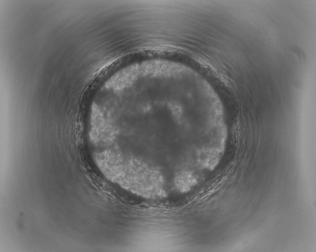 X0000115290822200911301332