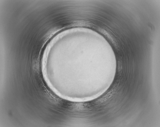 X0000115290828200911301332
