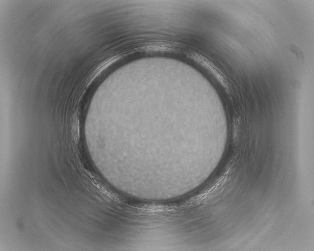 X0000115290829200911301332