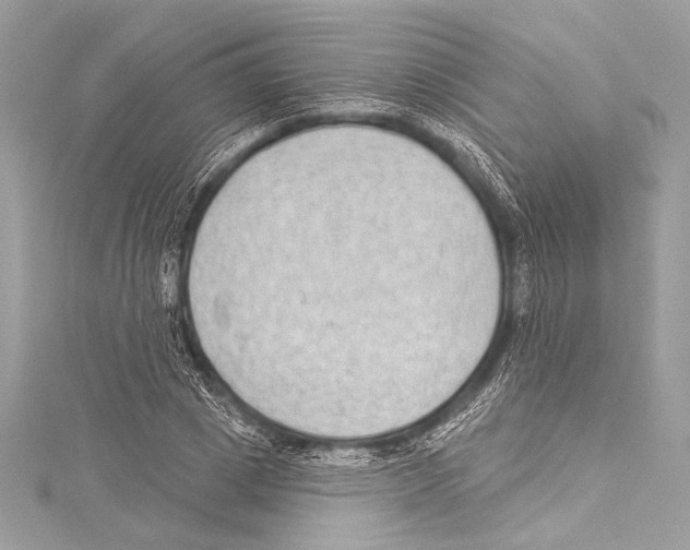X0000115290833200911301332