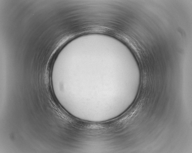 X0000115290835200911301332