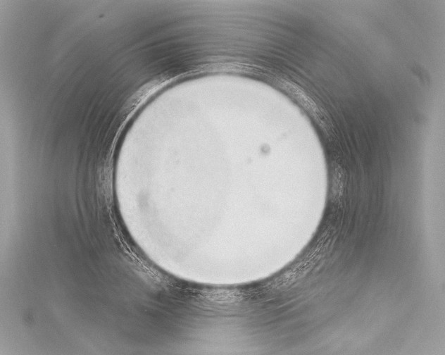 X0000115290836200911301332