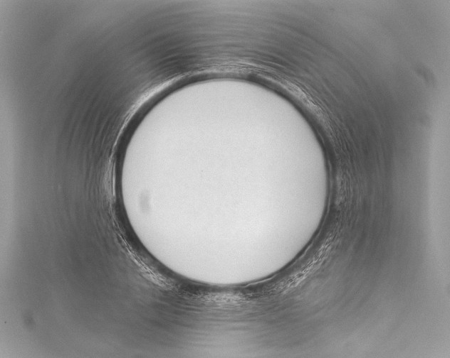 X0000115290838200911301332