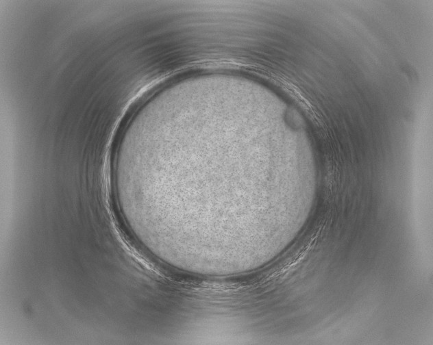 X0000115290840200911301332