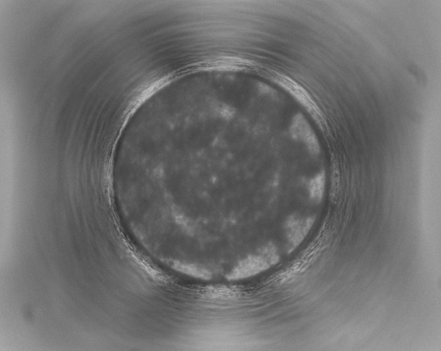 X0000115290850200911301332