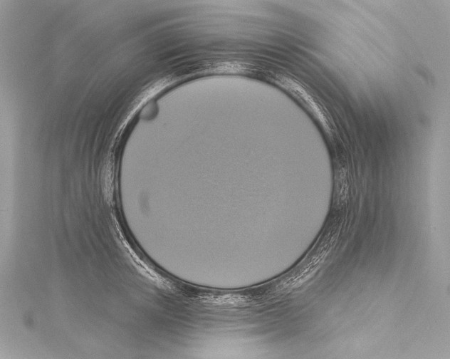 X0000115290851200911301332