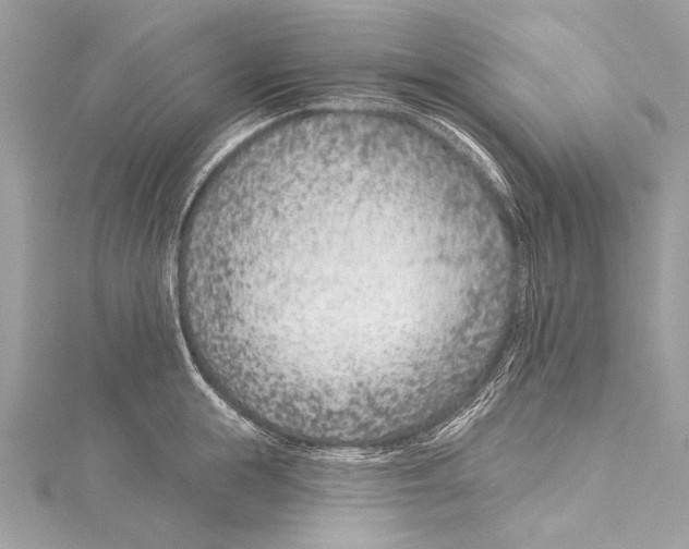 X0000115290855200911301332