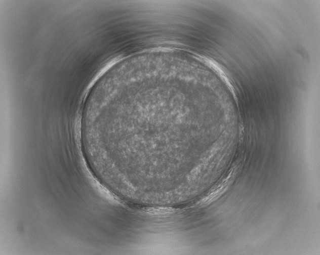 X0000115290859200911301332