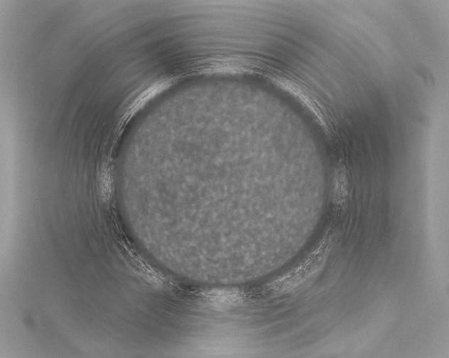 X0000115290874200911301331