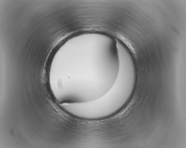 X0000115290876200911301331