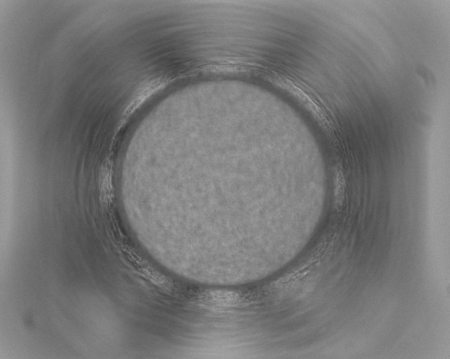 X0000115290878200911301331
