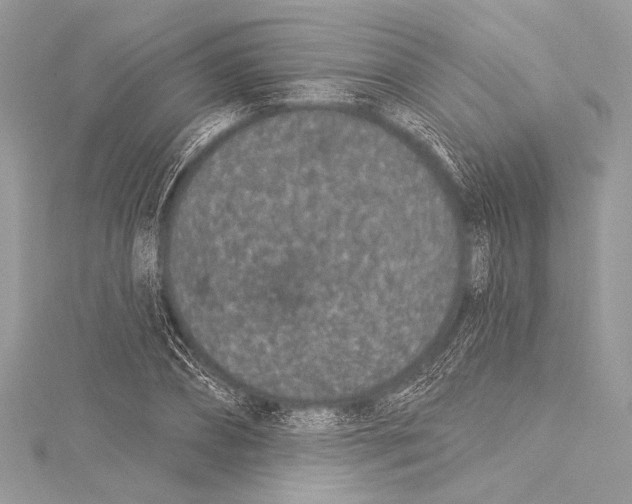 X0000115290882200911301331