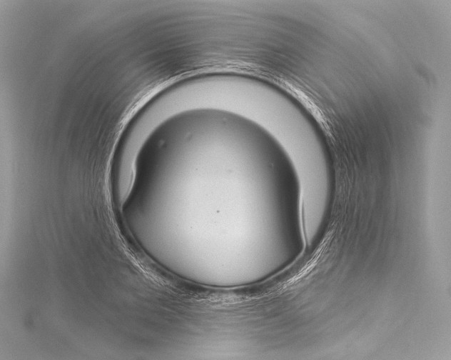 X0000115290885200911301331