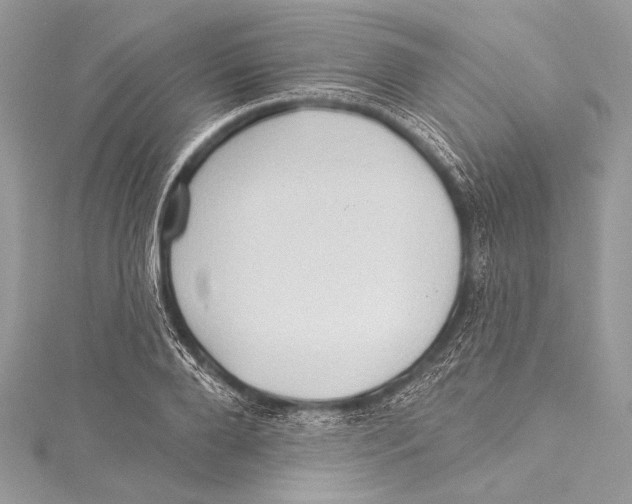 X0000115290888200911301331
