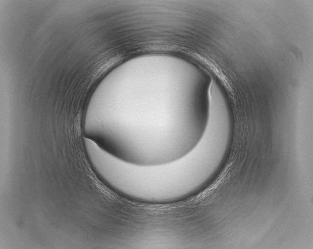 X0000115290889200911301331