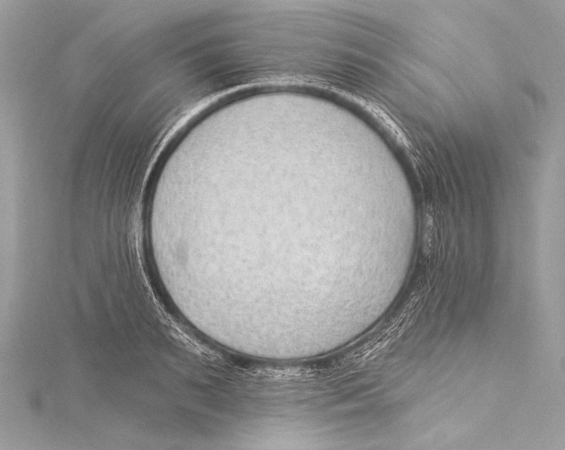 X0000115290895200911301331