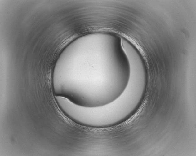 X0000115290897200911301331