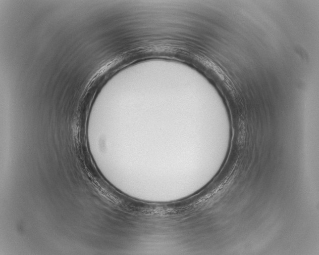 X0000115290922200911301330