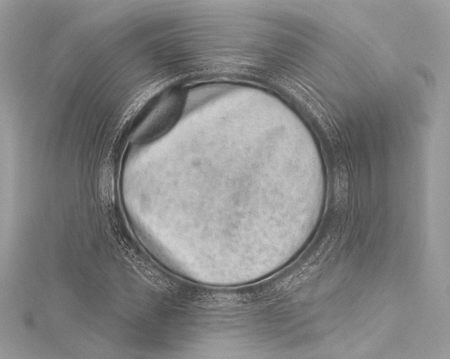X0000115290925200911301330