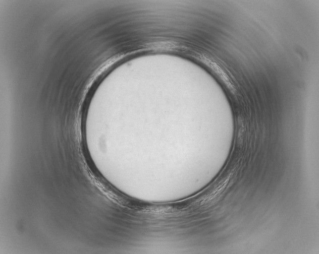 X0000115290939200911301330
