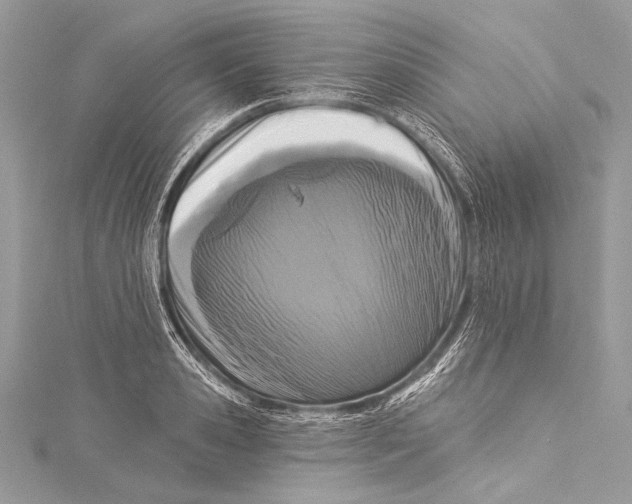 X0000115290941200911301331