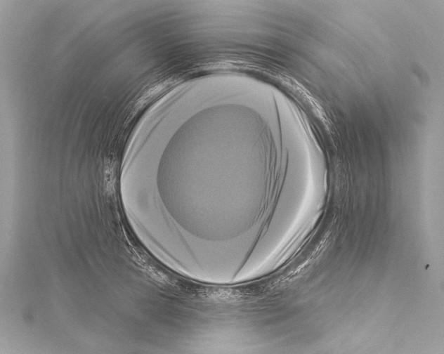 X0000115290945200911301331