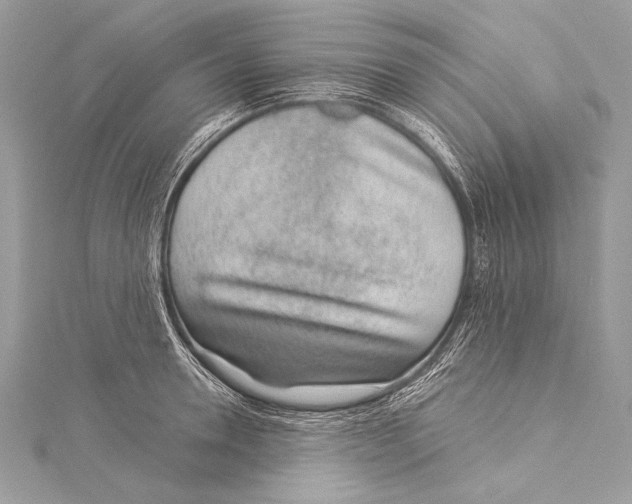 X0000115290946200911301331