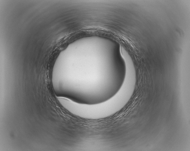 X0000115290965200911301330