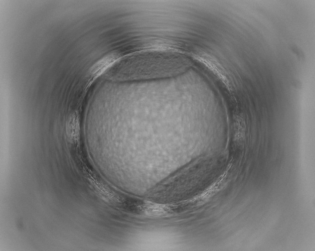 X0000115290969200911301330