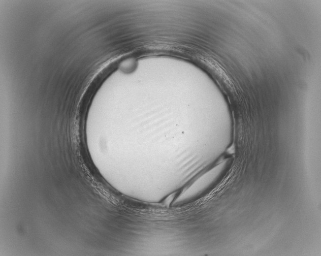 X0000115290976200911301330
