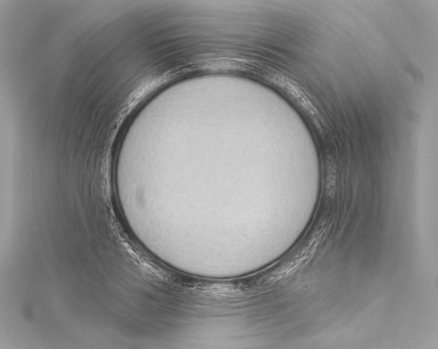 X0000115290986200911301330