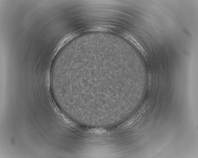 X0000115290994200911301330