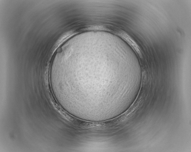 X0000115291002200911301330