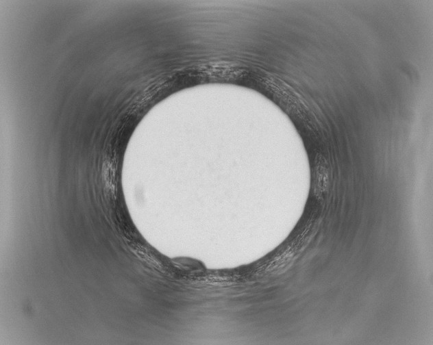 X0000115291010200911301329