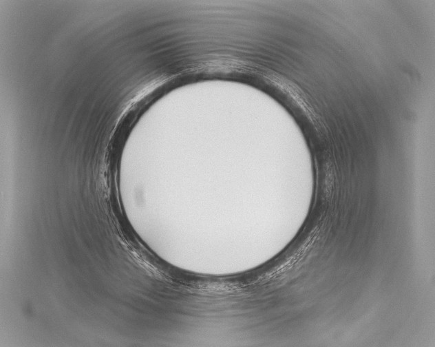 X0000115291018200911301329