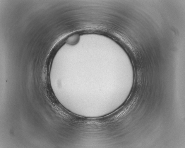 X0000115291021200911301329