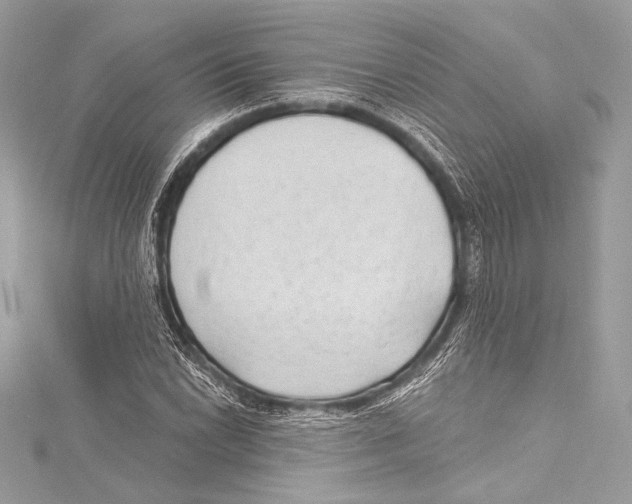 X0000115291022200911301329