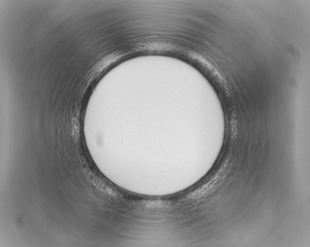X0000115291025200911301329