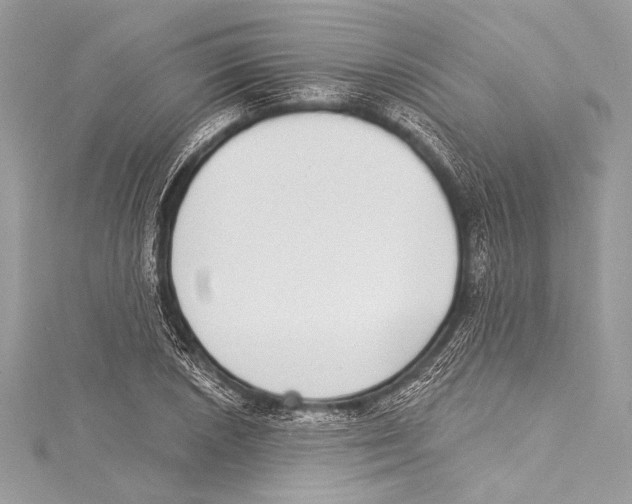 X0000115291026200911301329