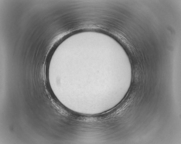 X0000115291030200911301329