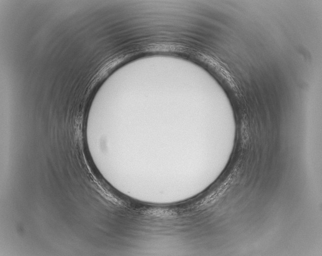 X0000115291033200911301329