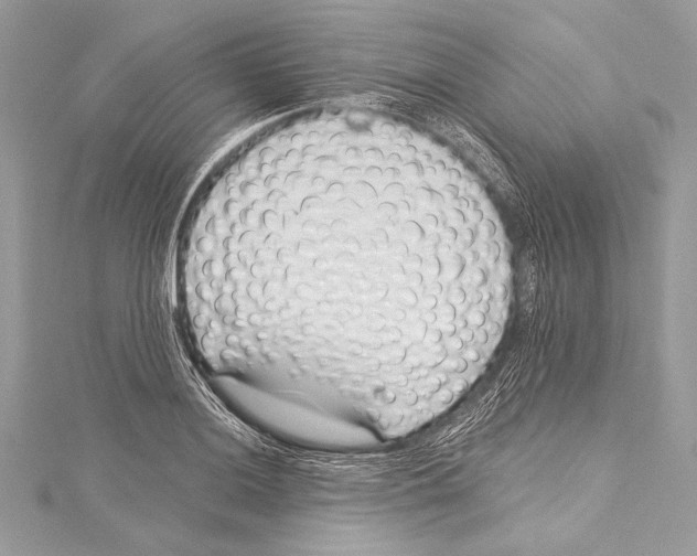X0000115291036200911301329
