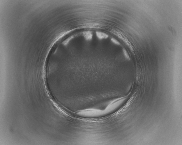 X0000115291037200911301329