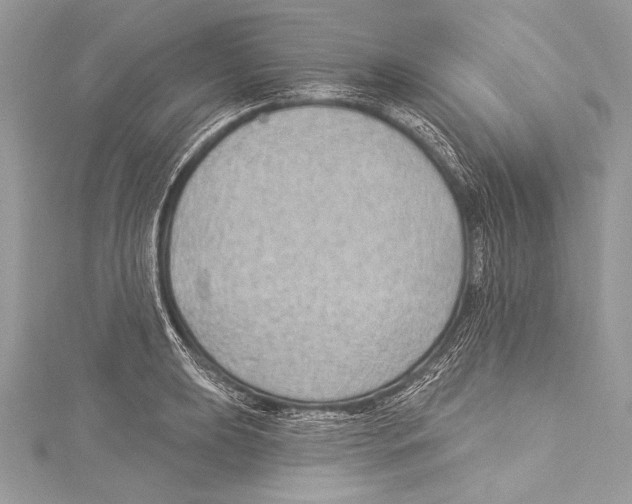 X0000115291039200911301329