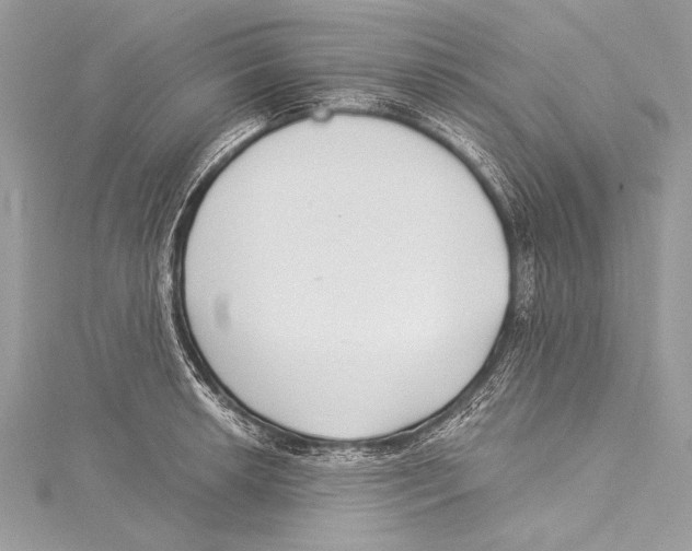 X0000115291042200911301329
