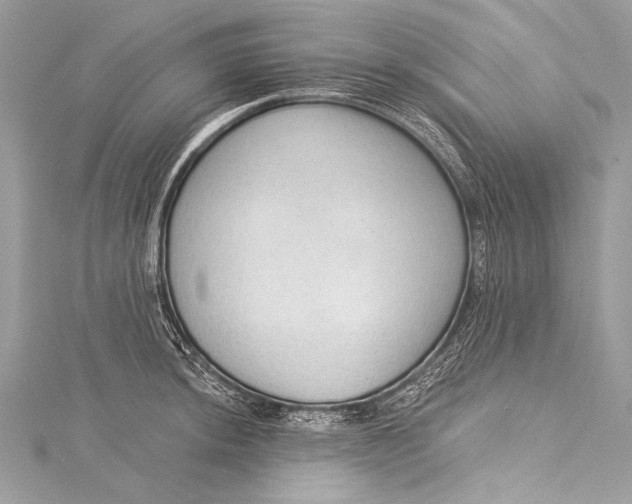 X0000115291044200911301329