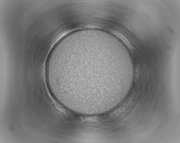 X0000115291047200911301329