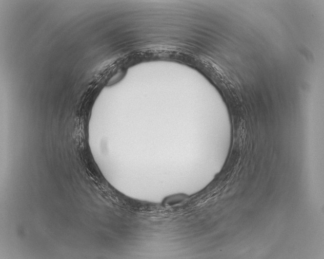 X0000115291062200911301329